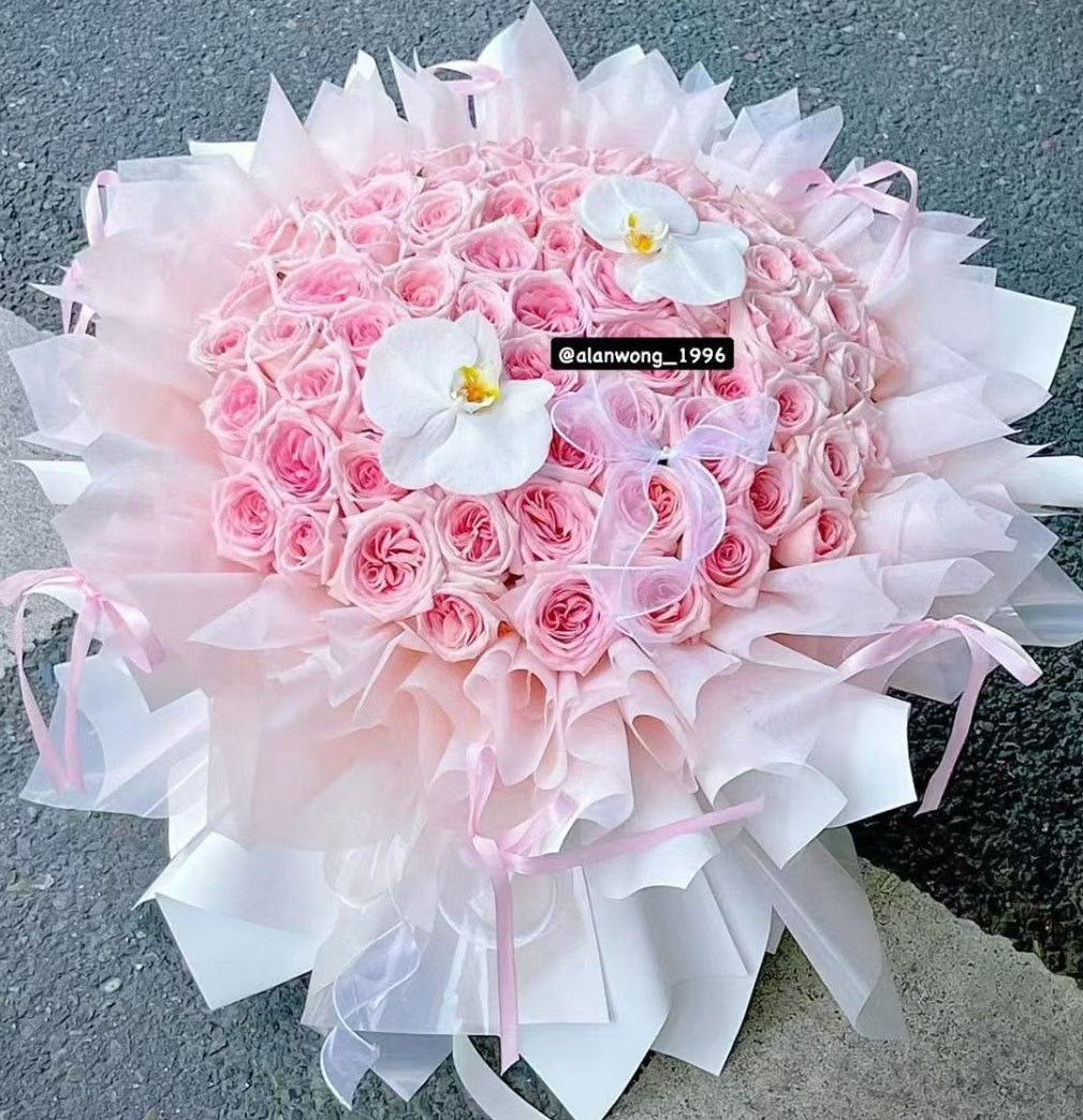 AW05 Pink Serenade
