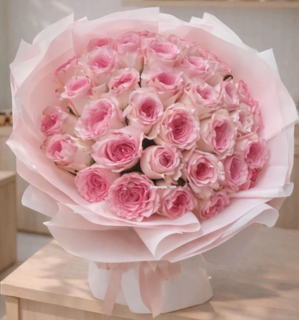 AW05 Pink Serenade
