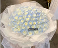 AW19 Glacier Waltz